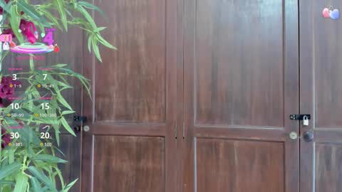 B L A C K  R O S E  online show from 10.04.25