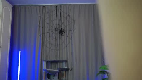 Shall we repeat online show from 11.26.25