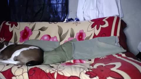 Snapshot of blackpanter_13 chatting on 09.27.25 Black Panther online show from 09.27.25