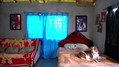 Snapshot of blackpanter_13 chatting on 12.18.25 Black Panther online show from 12.18.25