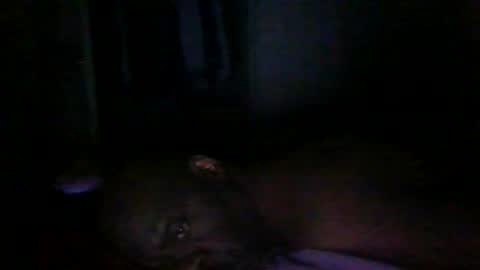 blackteddybear online show from 03.09.26