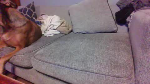 blaw_1321 online show from 01.10.26