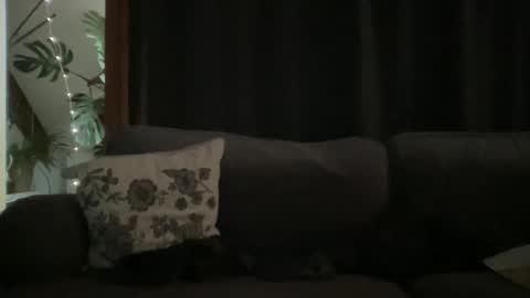 BlIdoL online show from 12.18.25