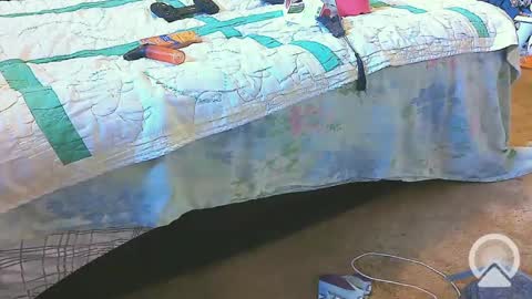 First Time College Boy online show from 02.20.25