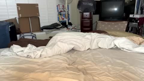 blue_cum_bunny123 online show from 03.16.26