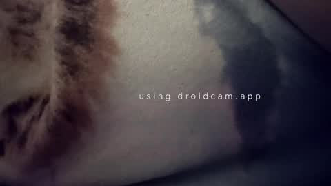 Snapshot of bluealpakka chatting on 03.15.26 bluealpakka online show from 03.15.26