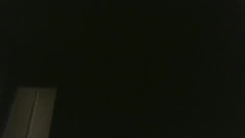 bluemoose70 online show from 03.20.26