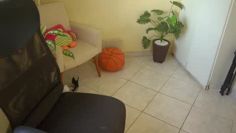 FLORAA online show from 03.11.25