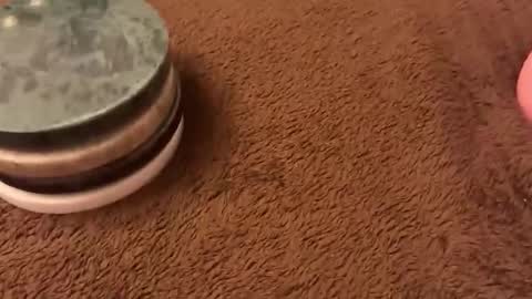 bluetrain97 online show from 03.01.26