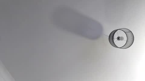 bobby160968 online show from 11.19.25