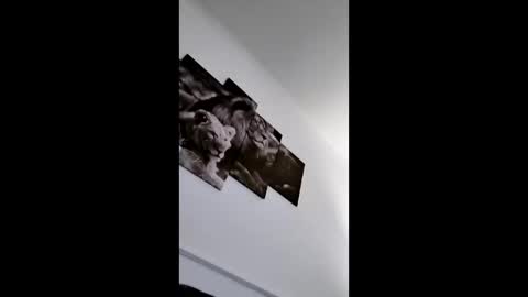 bobby160968 online show from 01.08.26