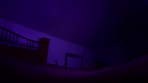 Snapshot of bodiddly64 chatting on 10.12.25 bodiddly64 online show from 10.12.25