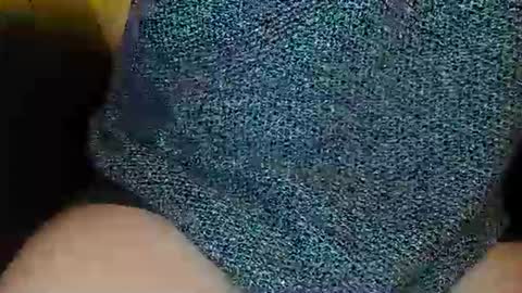 bogus25 online show from 03.08.26