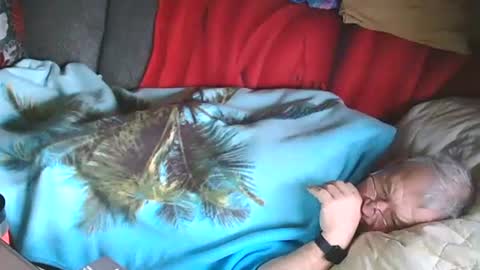 Bomber59potsdam online show from 01.28.25