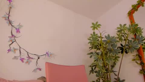   online show from 02.26.26