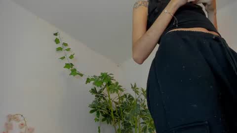   online show from 08.04.26