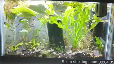 Booker Baxton online show from 12.15.24