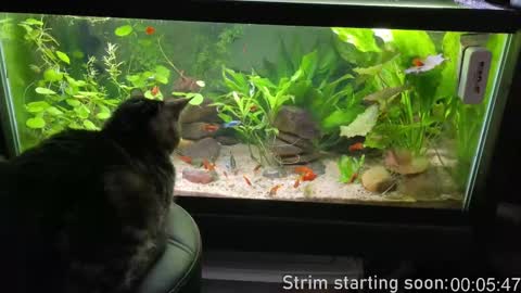 Booker Baxton online show from 09.09.25