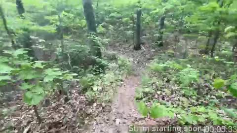 Booker Baxton online show from 10.09.25