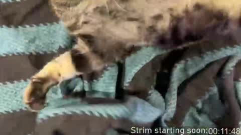 Booker Baxton online show from 03.15.26