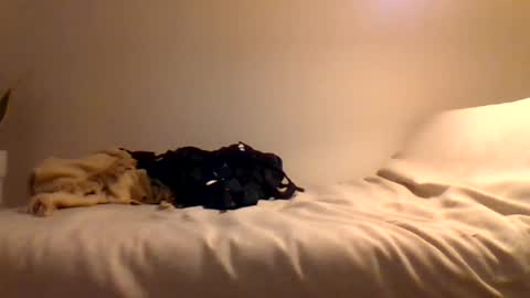 booty4pegging online show from 03.03.25