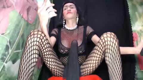 Snapshot of boucinghugehardcock chatting on 10.02.25 A M A N D A MONSTERCOCK online show from 10.02.25