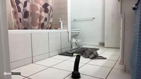 boysetsfire34 online show from 10.08.25