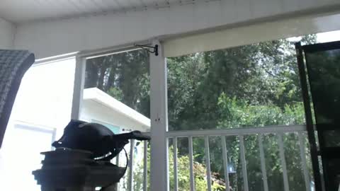 mr bill sir online show from 10.06.25