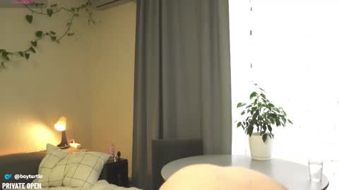 Snapshot of boyturtle chatting on 11.05.25 BoyTurtle online show from 11.05.25