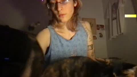 Snapshot of boywithbug chatting on 03.11.25 boywithbug online show from 03.11.25