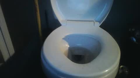 Snapshot of bradynoggle chatting on 01.18.25 bradynoggle online show from 01.18.25