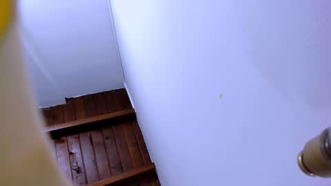 B R A N D online show from 10.07.25