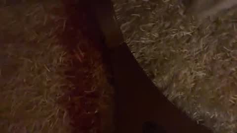 Snapshot of brian_stars chatting on 10.28.25 Brian boy online show from 10.28.25