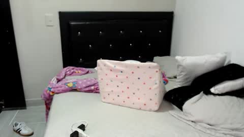 Snapshot of brianabarnes chatting on 11.27.25 brianabarnes online show from 11.27.25