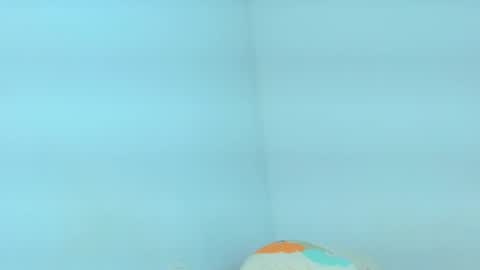 Snapshot of briannna_x chatting on 01.11.26 BRIANNA online show from 01.11.26