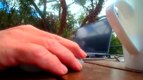 Fun Monster online show from 02.19.26