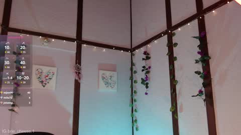 Brie  Ill be away November 2829 and 30. See u on Sunday for more fun online show from 02.03.25