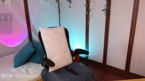 Snapshot of brie_cheese1 chatting on 07.28.26 Brie Ill be away November 2829 and 30. See u on Sunday for more fun online show from 07.28.26