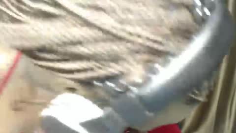 Bright online show from 12.07.24