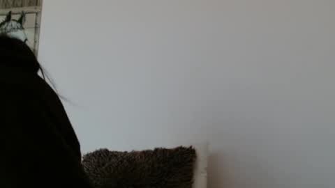 brigittebia777 online show from 10.24.25