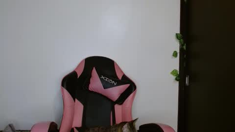 Snapshot of brittany_bubbles chatting on 02.20.26 maru miaw Please help me to reach 100 thumbs up online show from 02.20.26