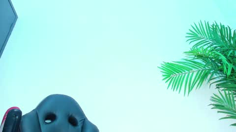 BRIYIT     online show from 02.01.25