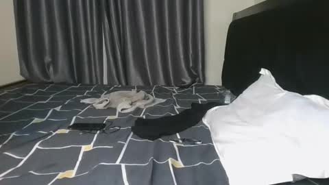 brown_sugar4 online show from 11.13.25