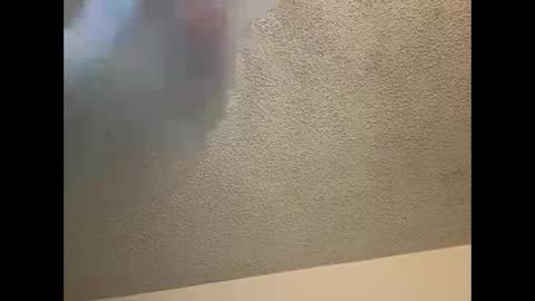 EtherealLilac online show from 03.04.25