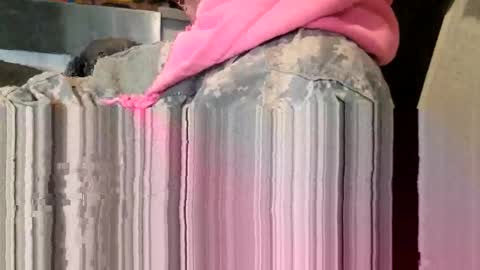 Steve... aka SkinnieDippin aka TimberTramp online show from 03.11.26