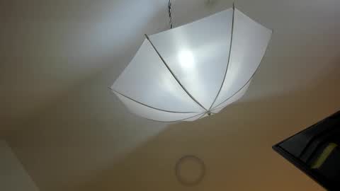 bryannamiller online show from 11.11.25