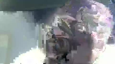 Snapshot of buddyboy51 chatting on 02.14.26 Casey online show from 02.14.26