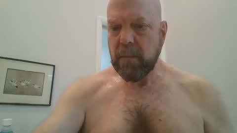 bulldog302w online show from 02.20.26