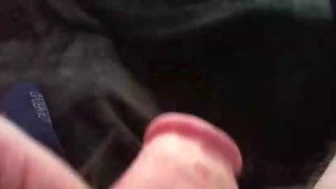 bullemoe online show from 11.09.25