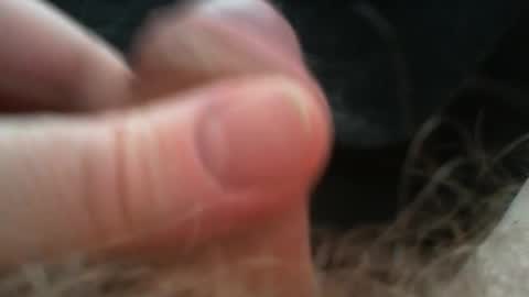 bullemoe online show from 02.02.26